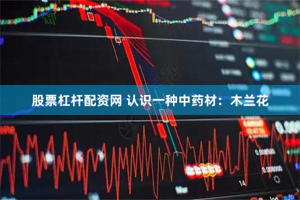 股票杠杆配资网 认识一种中药材：木兰花