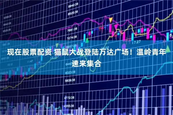 现在股票配资 猫鼠大战登陆万达广场!温岭青年速来集合