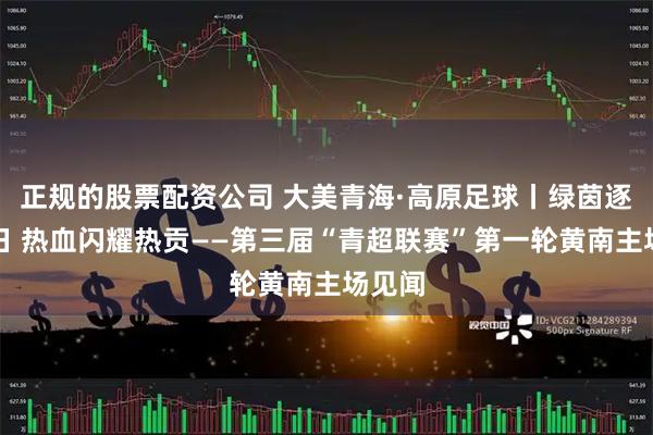 正规的股票配资公司 大美青海·高原足球丨绿茵逐梦夏日 热血闪耀热贡——第三届“青超联赛”第一轮黄南主场见闻