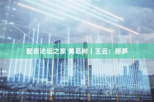 配资论坛之家 黄葛树丨王云:掰笋