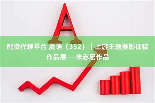 配资代理平台 夏语（352）｜上游主题摄影征稿作品展——朱志宏作品